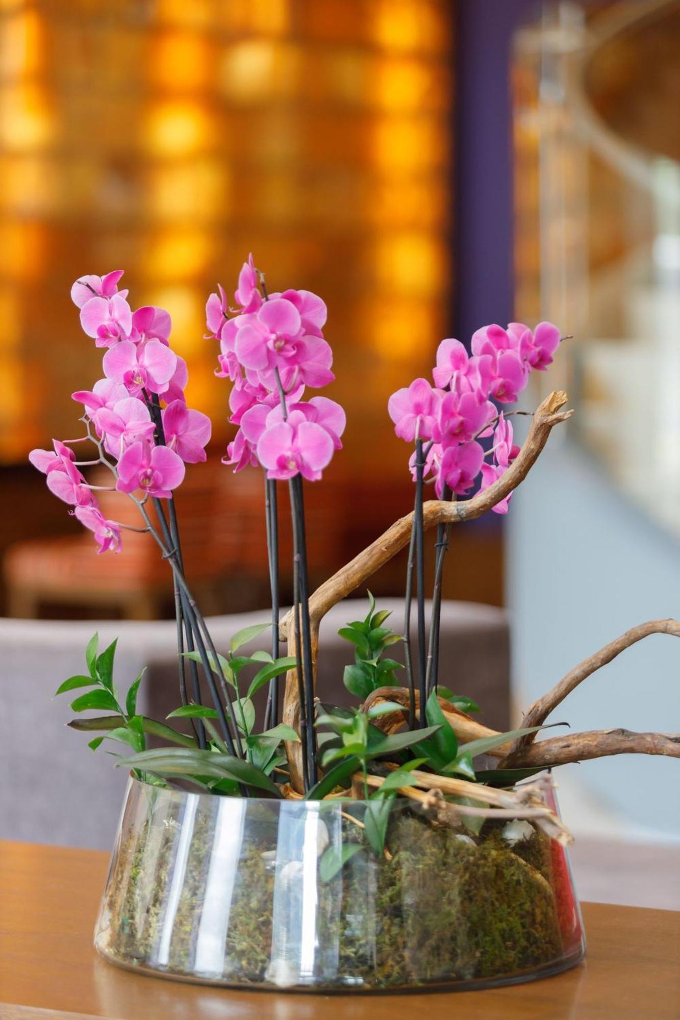 Camino Real Pedregal Mexico Hotel Exterior photo Flower arrangement